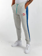 Pantalon de survêtement Puma Dazed T7