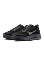 Nike Homme Pegasus Premium - Anthracite