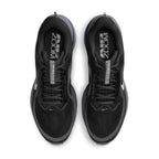 Nike Homme Pegasus Premium - Anthracite
