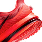 Nike Pegasus Premium pour homme - Crimson clair