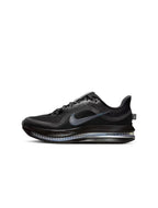 Nike Womens Pegasus Premium - Black