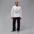 Air Jordan Mens Gamma Long Sleeve - White