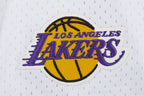 Pro Standard LA Lakers Script Tail Mesh Button-Down-Shirt – Weiß/Schwarz