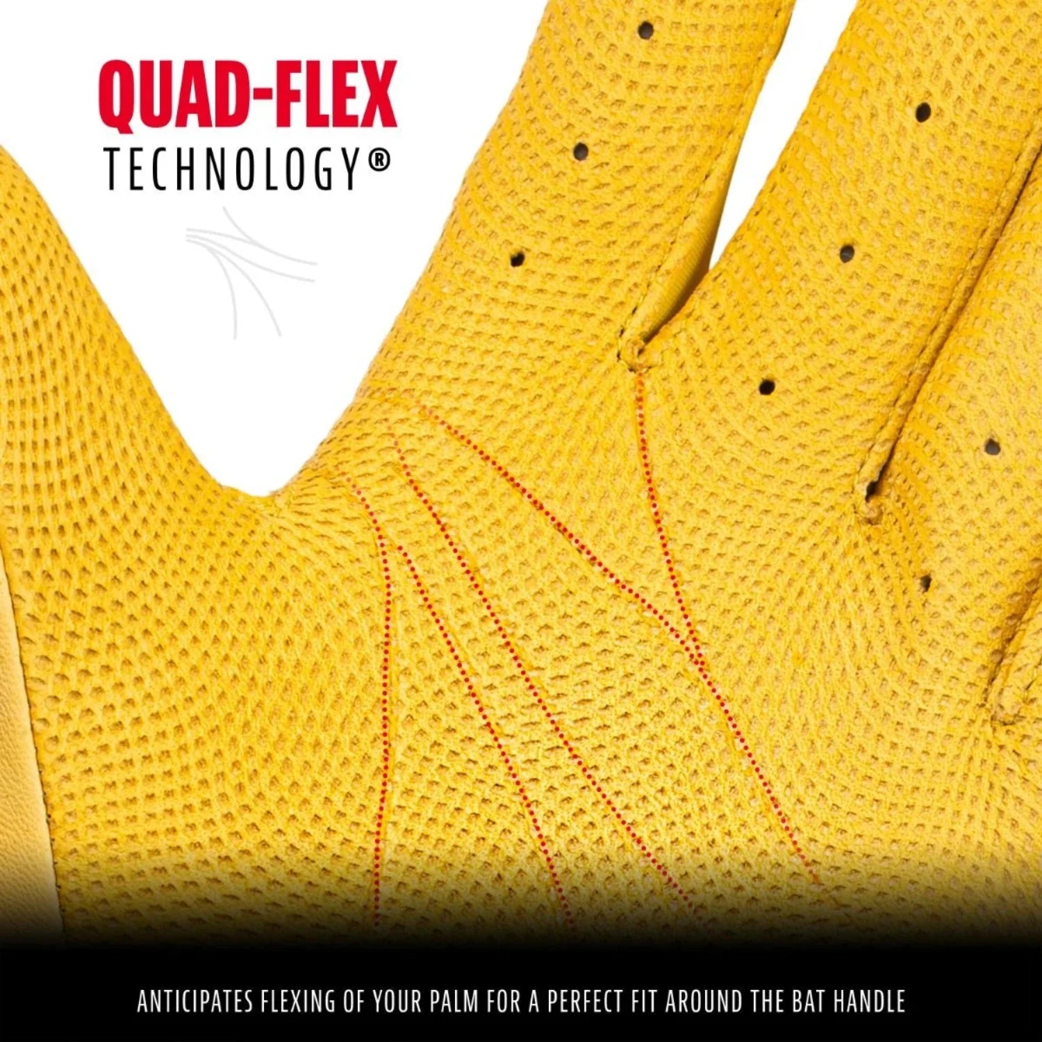Gants de frappeur Franklin CFX PRO HI-LITE