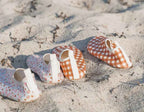 Swim Shoes - Sienna Gingham