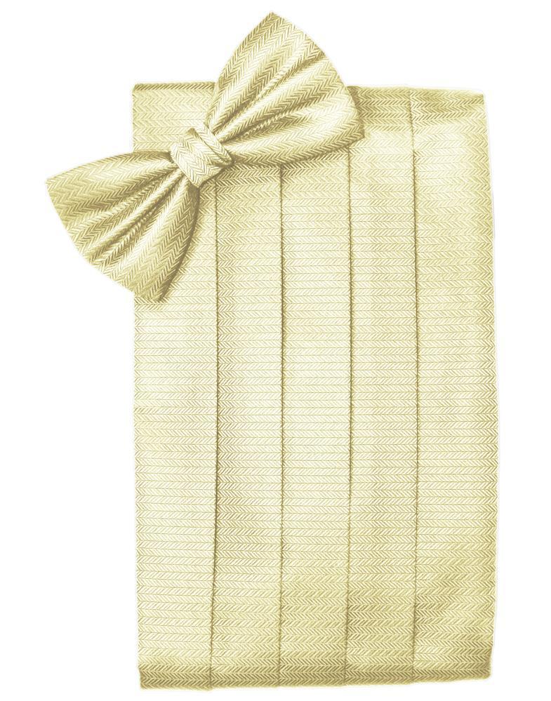 Set Herringbone Cummerbund & Bow Tie