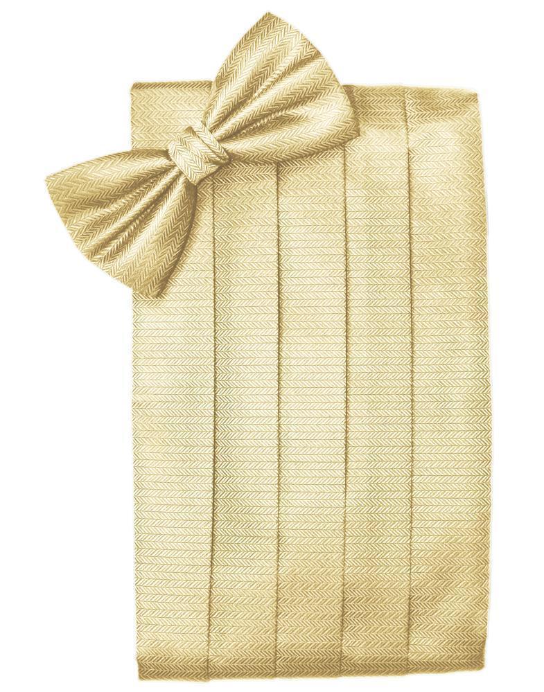 Set Herringbone Cummerbund & Bow Tie