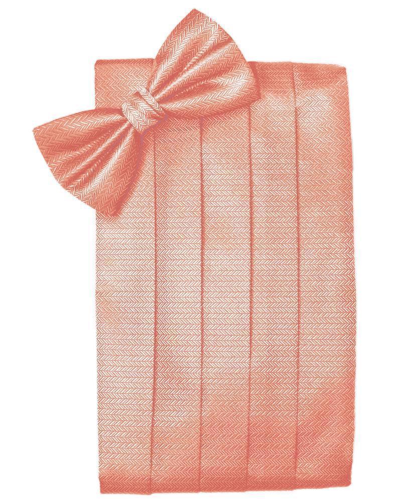Set Herringbone Cummerbund & Bow Tie