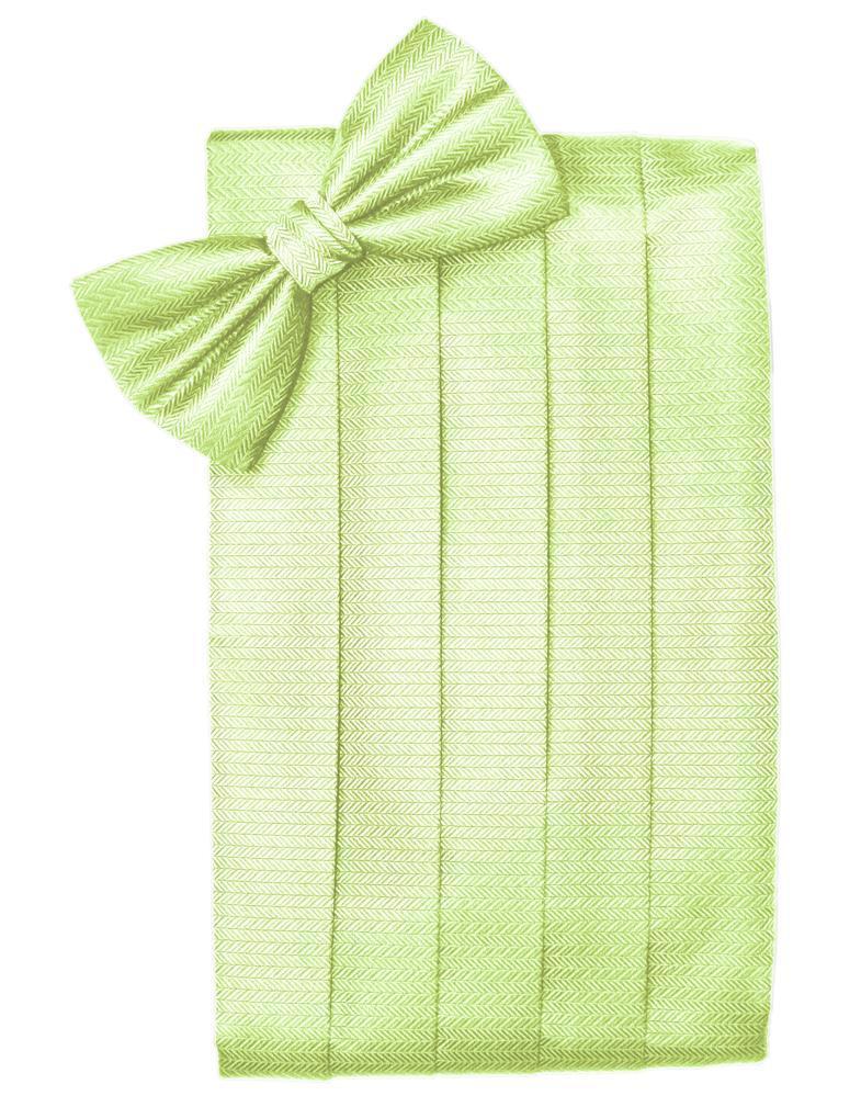Set Herringbone Cummerbund & Bow Tie