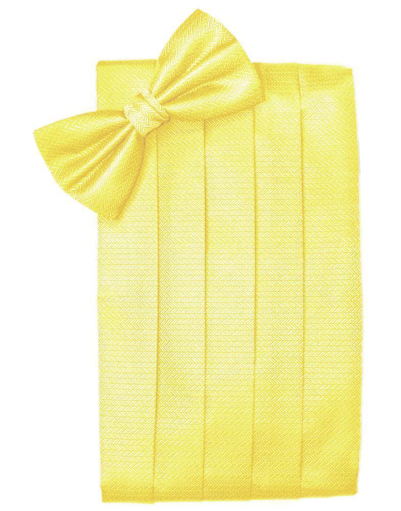 Set Herringbone Cummerbund & Bow Tie