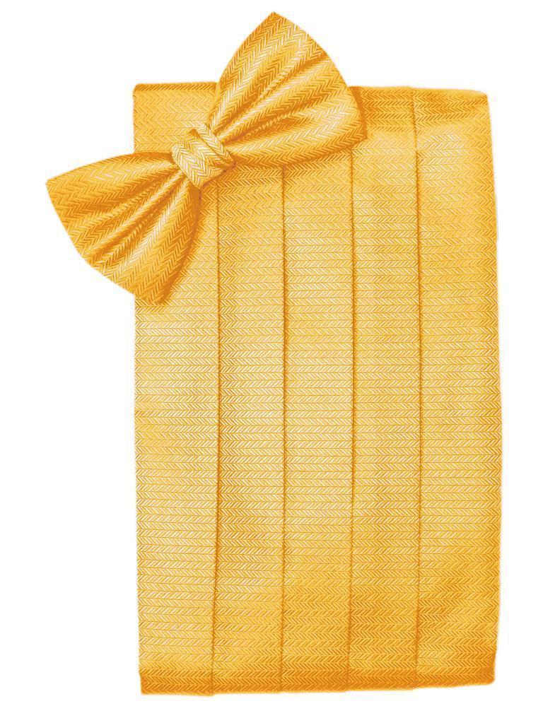 Set Herringbone Cummerbund & Bow Tie
