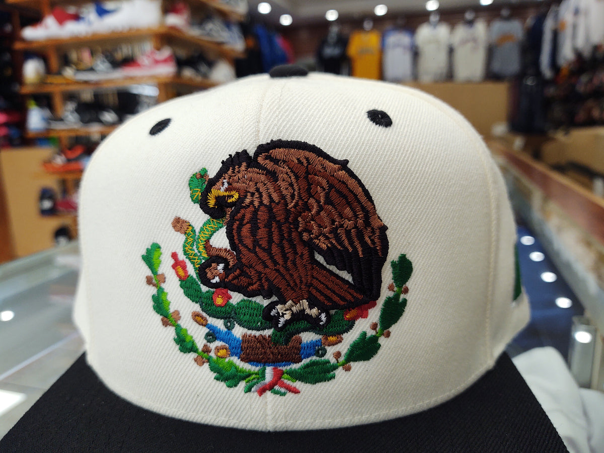 Casquettes Snapback Mexique Drapeau et écusson brodés