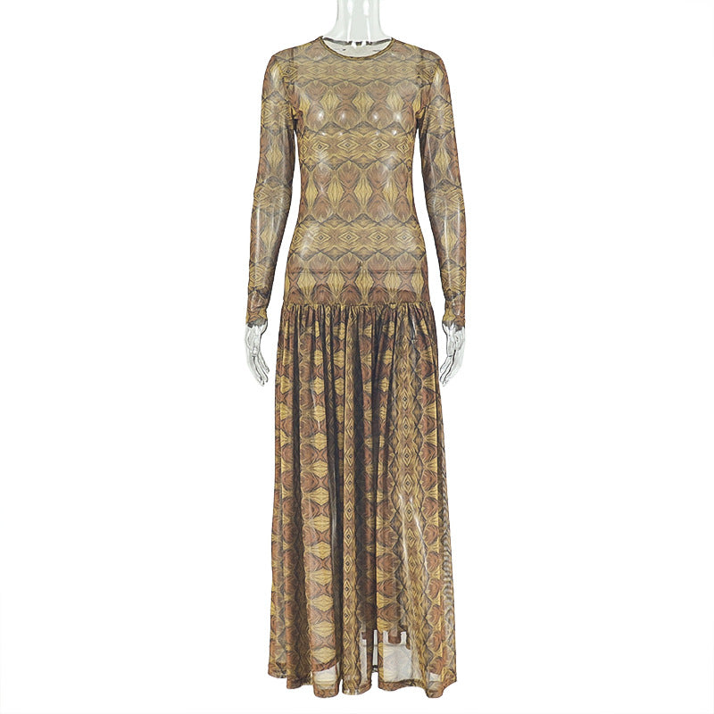 Elegantes Retro-Damenkleid mit taillenschmaler, mikrotransparenter A-Linie, Rundhalsausschnitt und langen Ärmeln mit Print