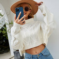 Herbst Winter Einfarbig Rollkragen Pullover Strickware Kurzer Zopfmuster Locker Gestrickter Pullover