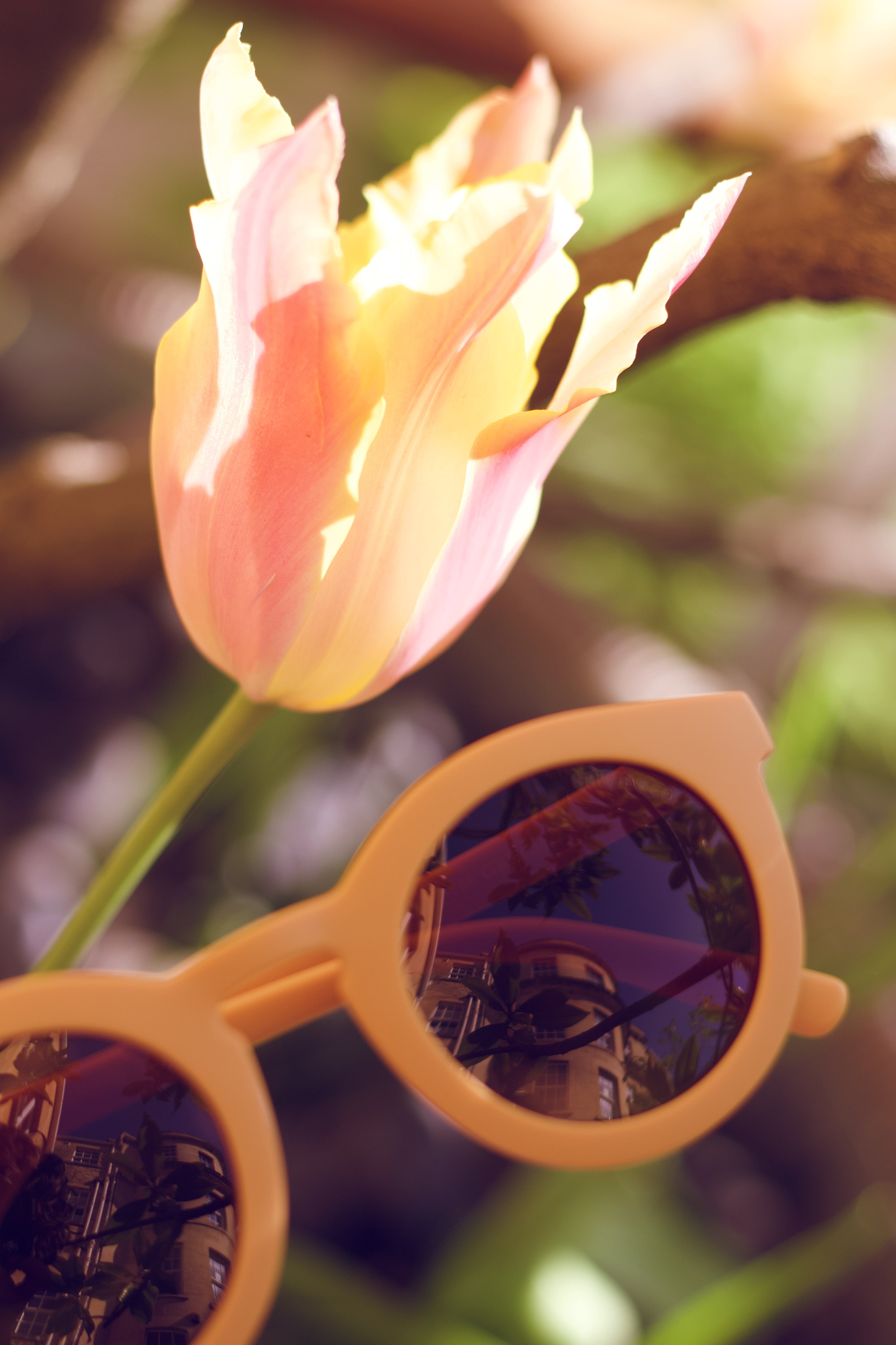 Classic | Sustainable Sunglasses | Plant-Based Bendable Polarized - Child | 3-8 Y - The7Letter
