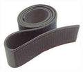 The Ultimate-Belt