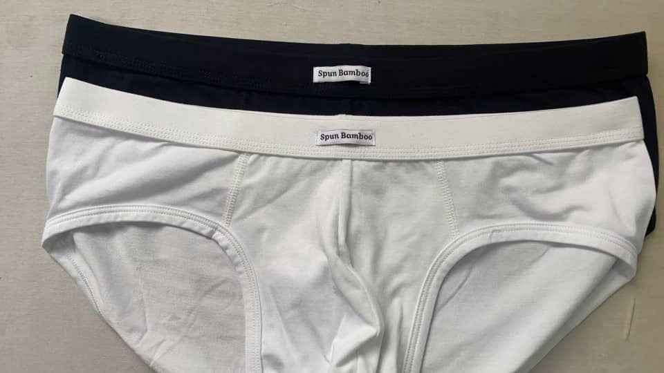 Men's Bamboo Viscose Briefs Underwear