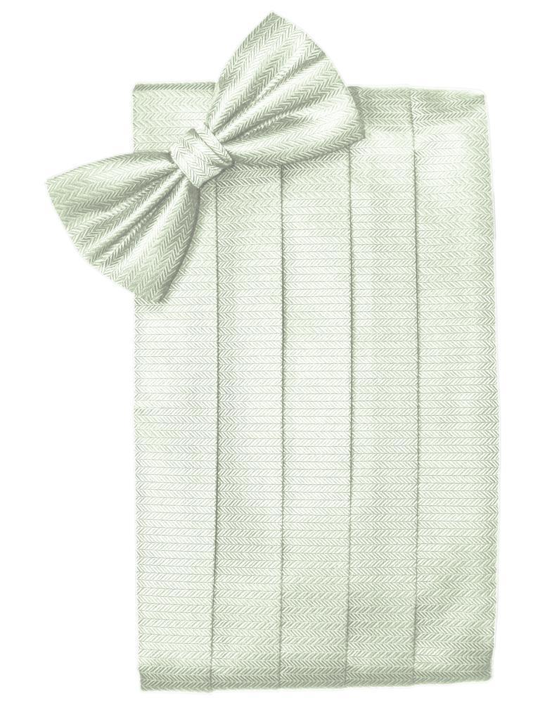 Set Herringbone Cummerbund & Bow Tie